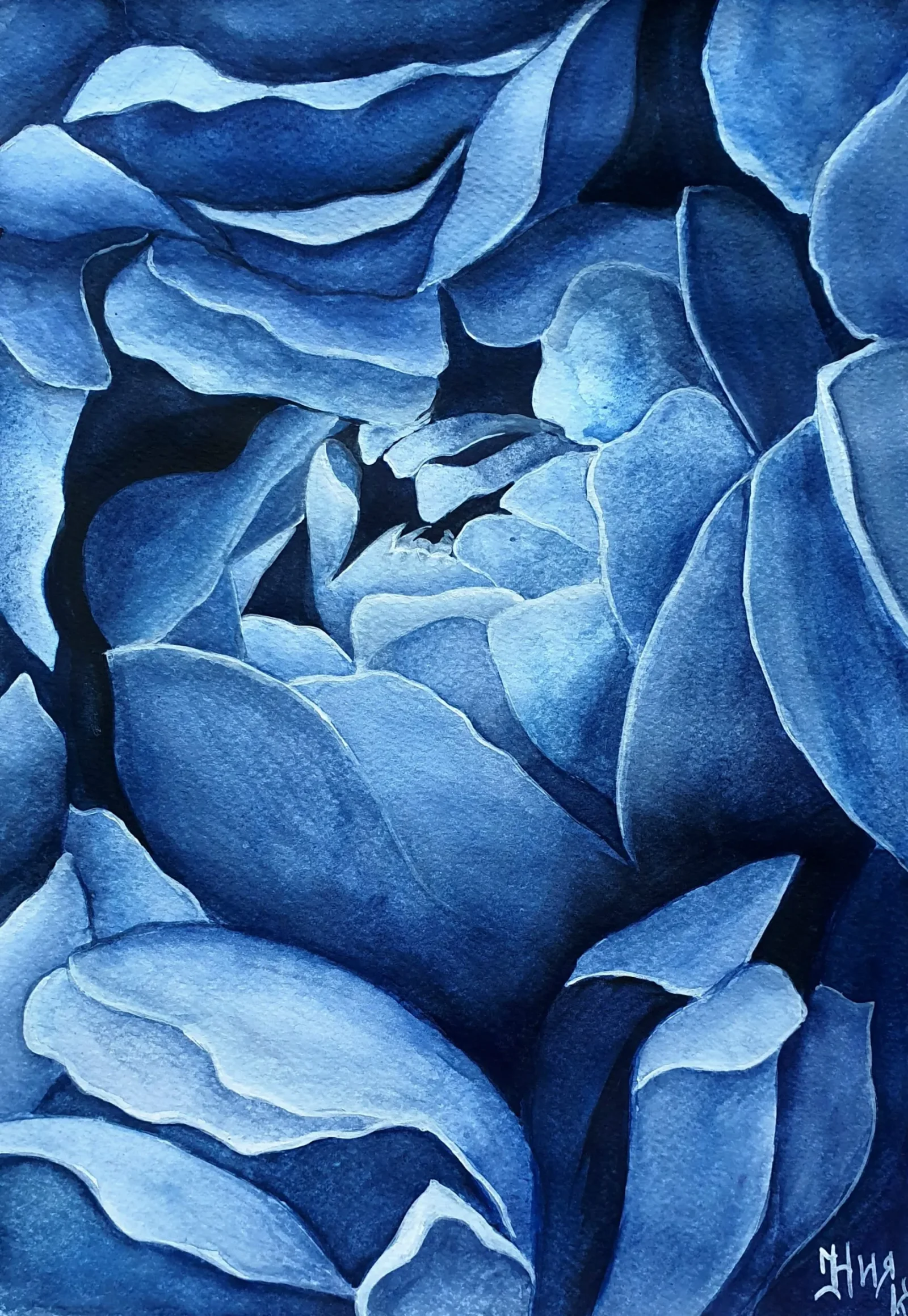 Blue Peonies — watercolour floral