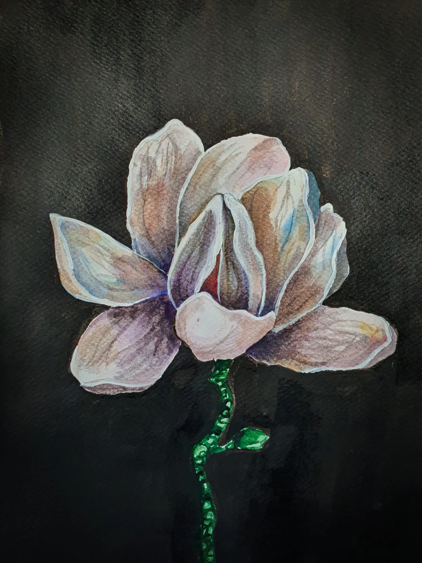 Magnolia on dark background