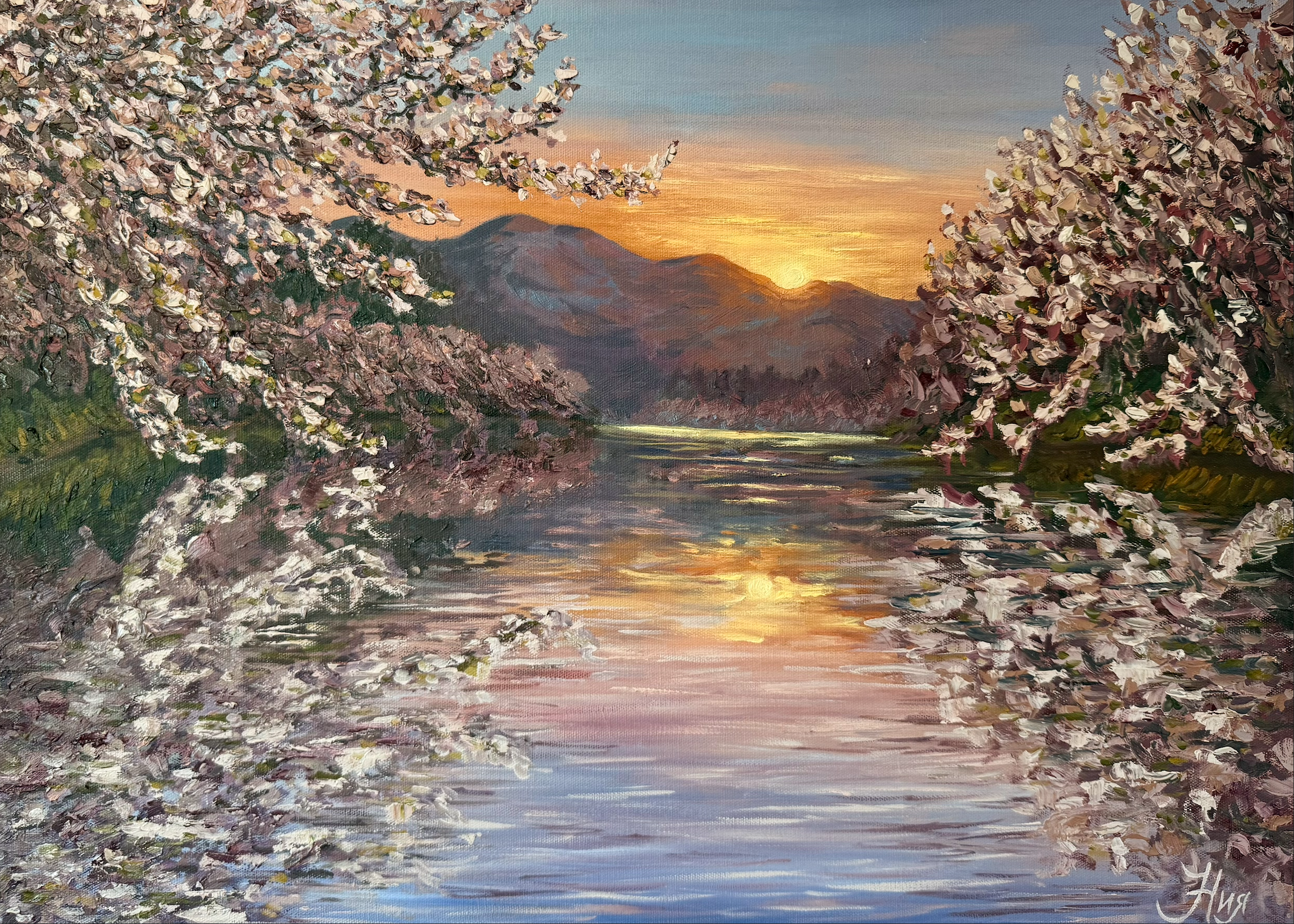 Japanese cherry blossom