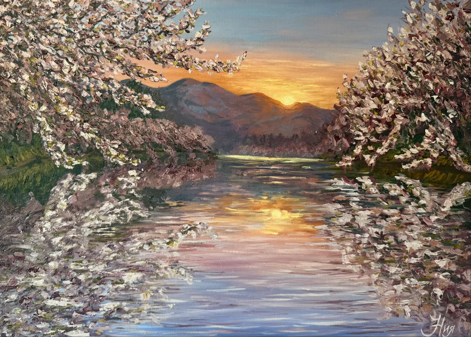 Japanese cherry blossom
